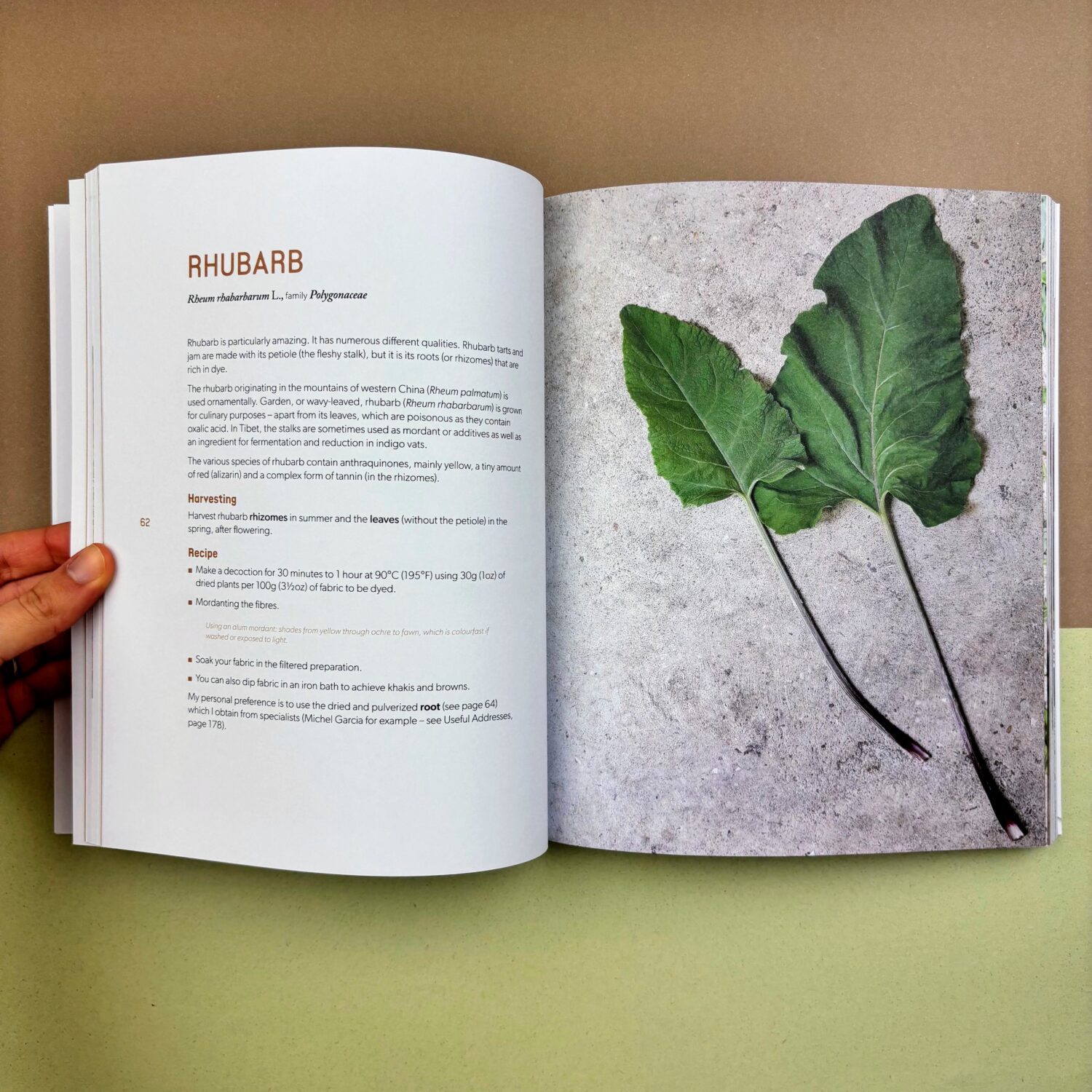 BOTANICAL_DYES_3