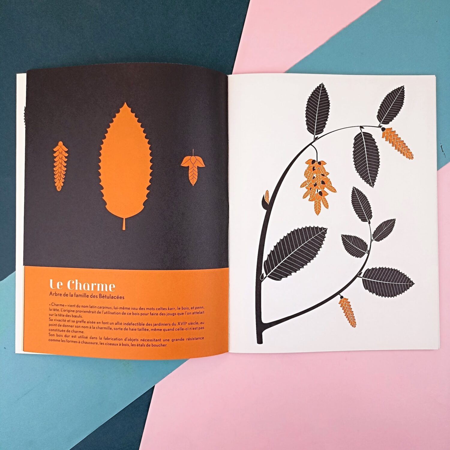 herbier_emilie_vast_arbres2