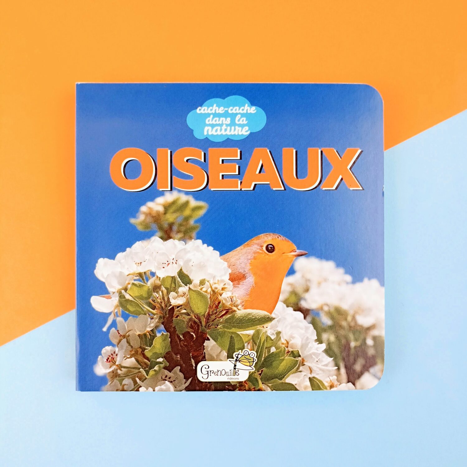 oiseaux (1)