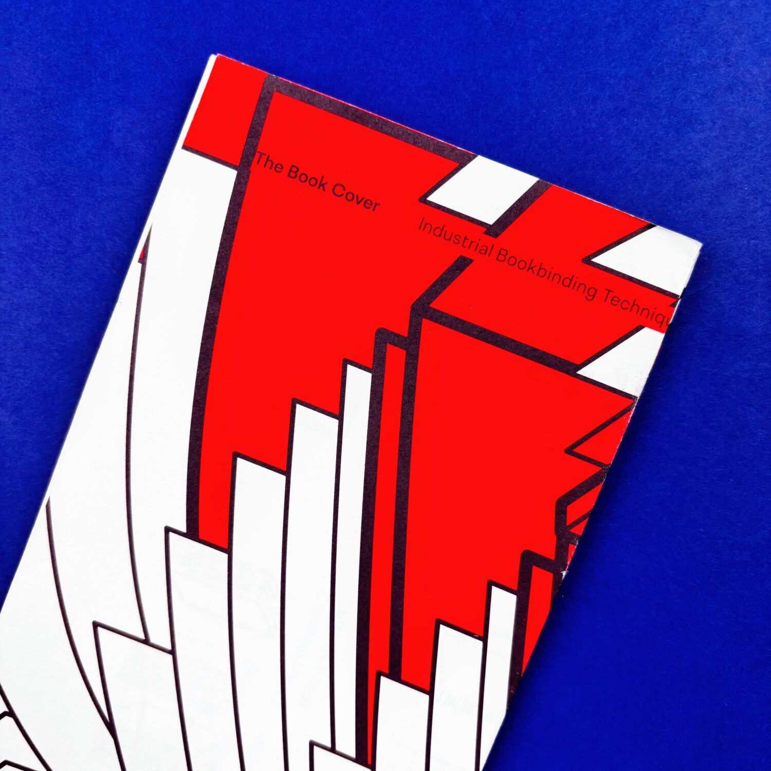 THE_BOOK_COVER_1