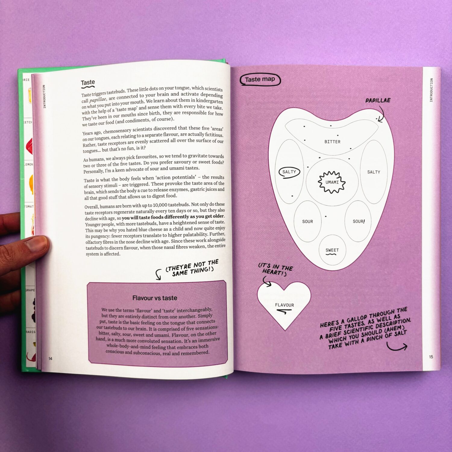 the_condiment_book (4)