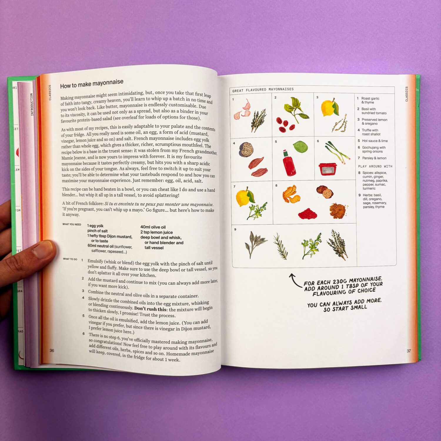 the_condiment_book (6)