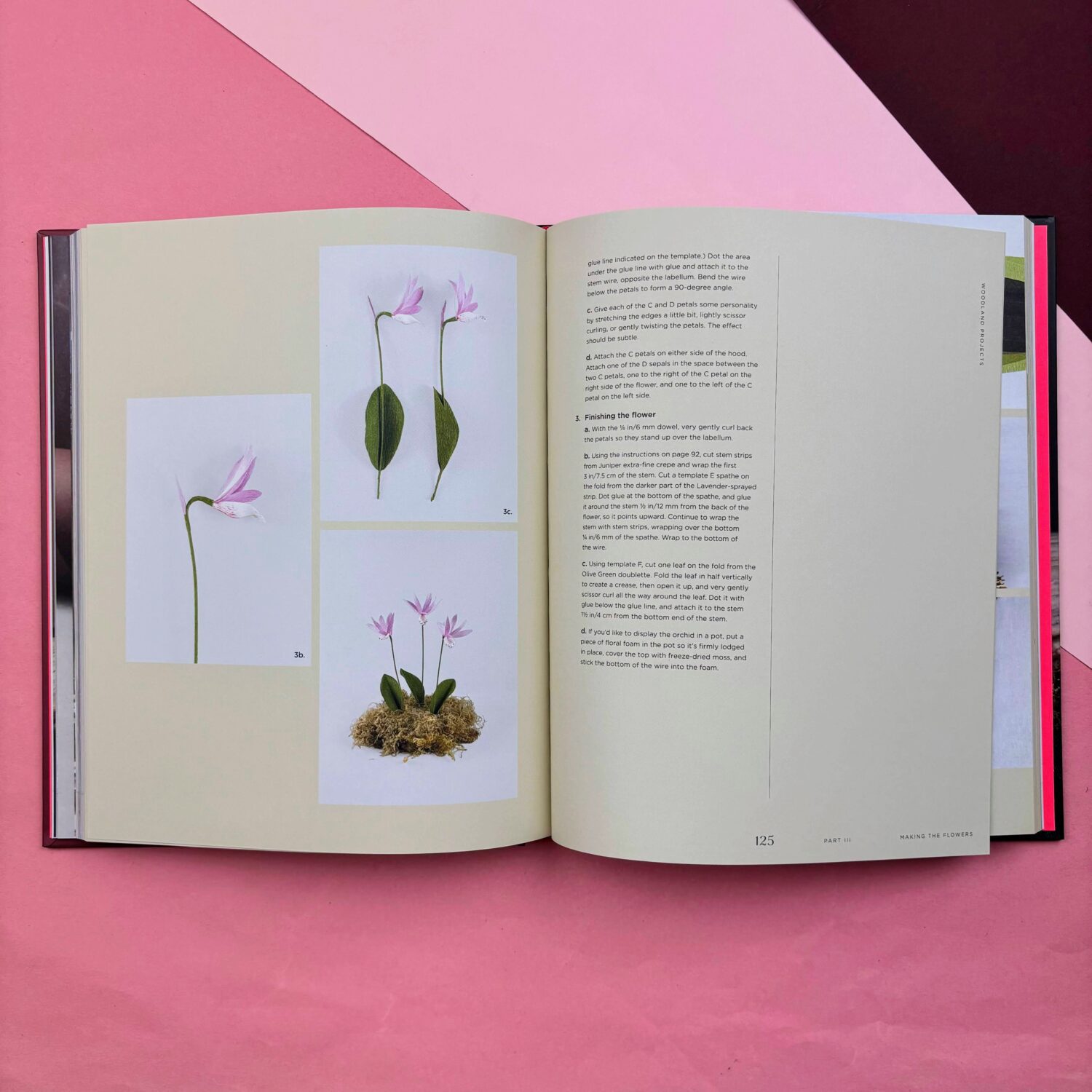 UNCOMMON_PAPER_FLOWERS_5