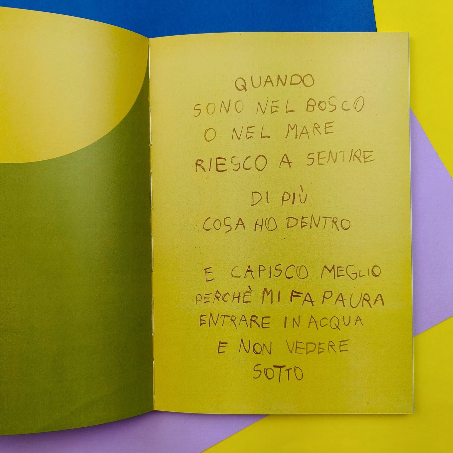 È_un_corpo_la_terra12