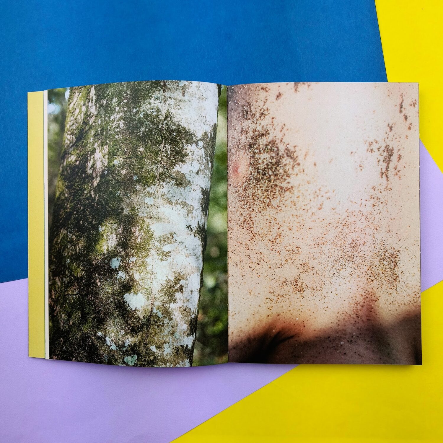È_un_corpo_la_terra4